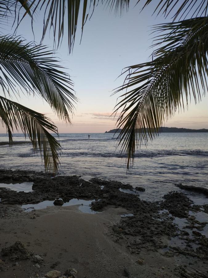 Bed and Breakfast La Luciernaga Big Creek Bocas del Toro Zewnętrze zdjęcie