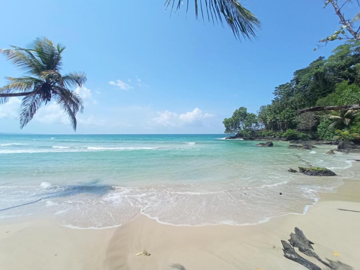Bed and Breakfast La Luciernaga Big Creek Bocas del Toro Zewnętrze zdjęcie