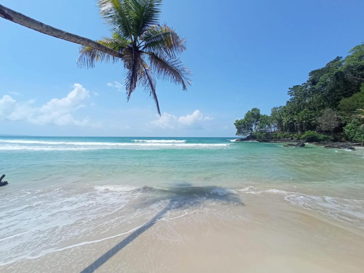 Bed and Breakfast La Luciernaga Big Creek Bocas del Toro Zewnętrze zdjęcie